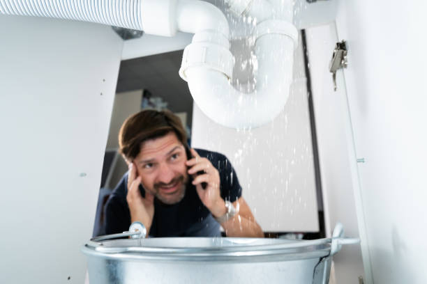 Best Clogged Drain Plumber  in Warren, IN
